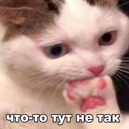 Стикер мемасы - 6