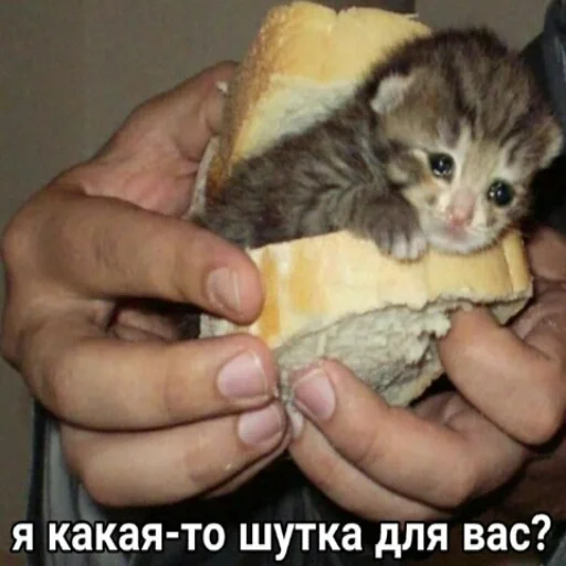 Стикер мемасы - 4