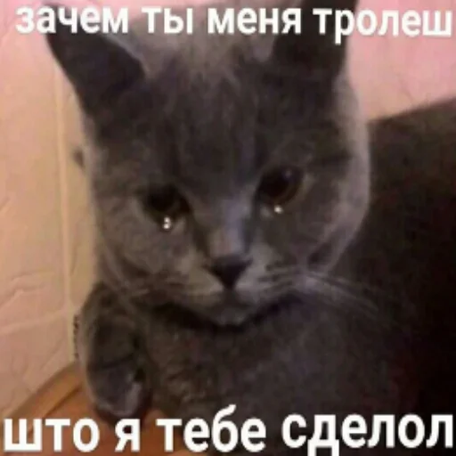 Стикер мемасы - 3