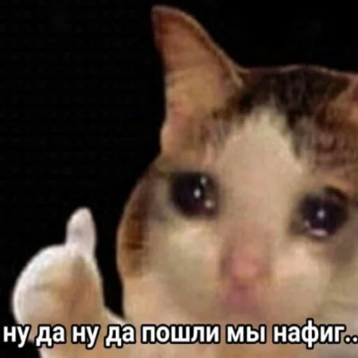 Стикер мемасы - 2