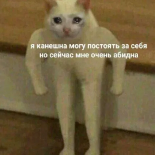 Стикер мемасы - 0