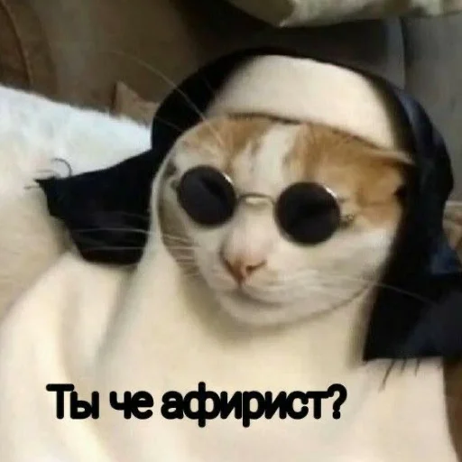 кошка солнечные очки защитные очки