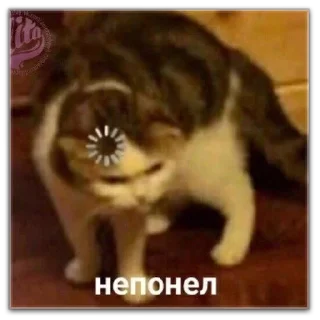 Sticker хуевые мемы - 0