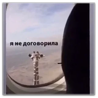 Sticker хуевые мемы - 9