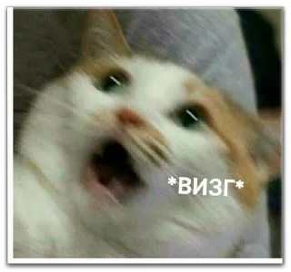 Sticker хуевые мемы - 8