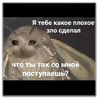 Sticker хуевые мемы - 5