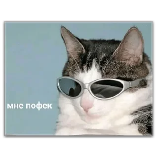 Sticker хуевые мемы - 10