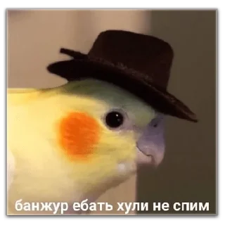 Sticker хуевые мемы - 7