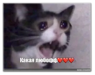 Sticker хуевые мемы - 3