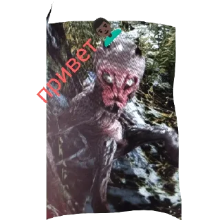 mammal screenshot text