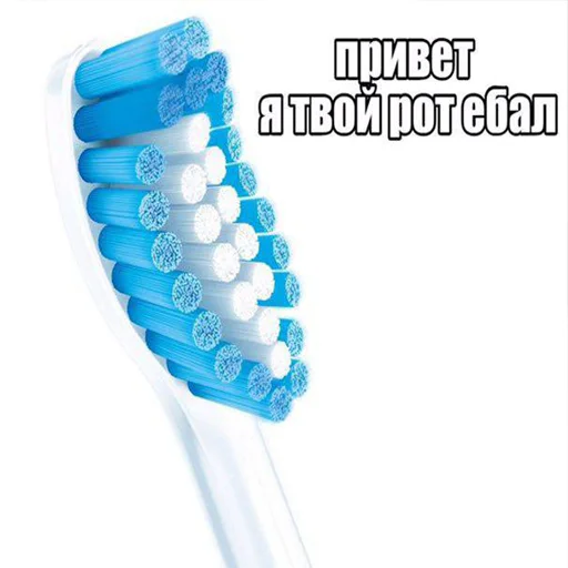 зубная щётка щётка инструмент