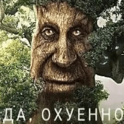 Стикер Мудрое мистическое дерево - 1
