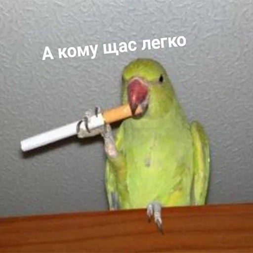 Стикер memstickersss - 1