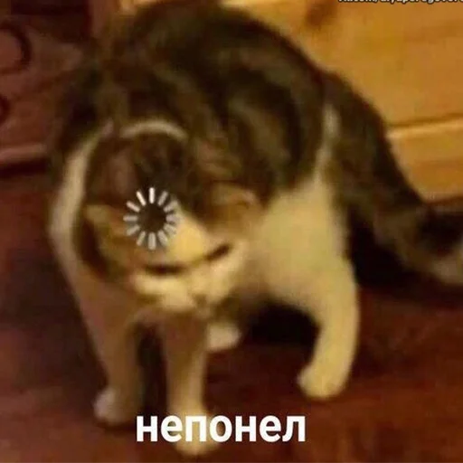 Sticker memstickersss - 1