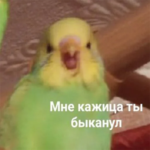 Стикер memstickersss - 1