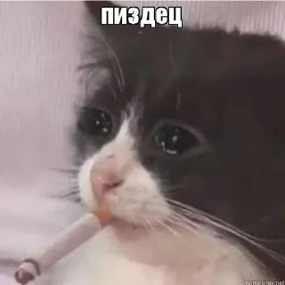 Sticker LyubashSticker - 11