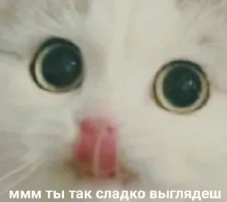 Sticker mem strikers pak by @sliverweaver - 2