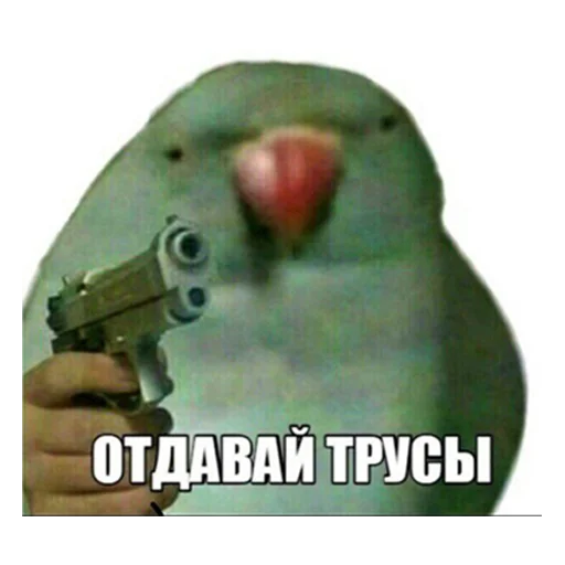 птица попугай СМС