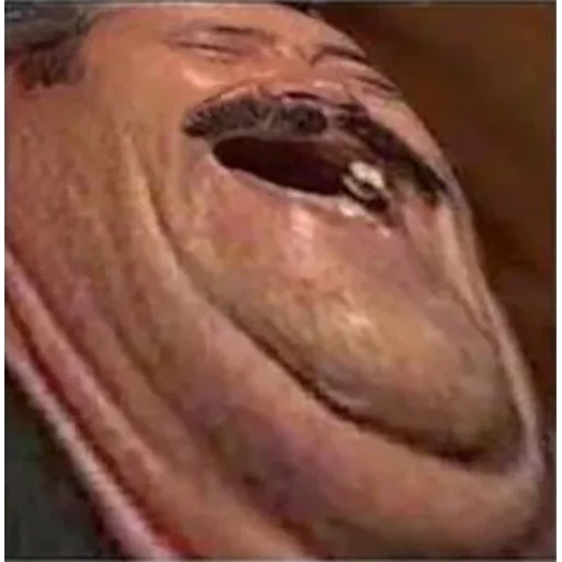 Sticker memes by @fStikBot - 1