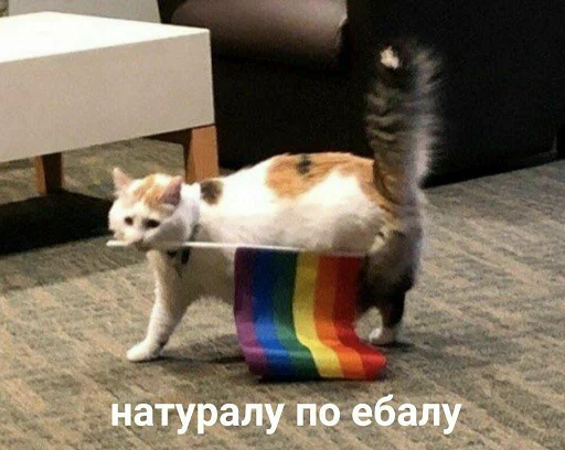 Стикер Пересыл Стикеров ( @memuarisok ) - 9