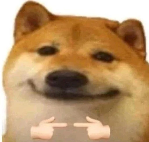 животное млекопитающее собака