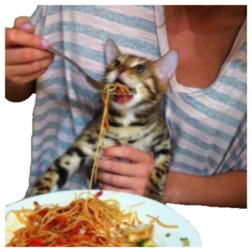 Sticker Котомемы - 3