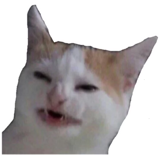 Sticker Котомемы - 0
