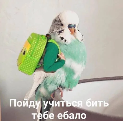 игрушка попугай комнатный