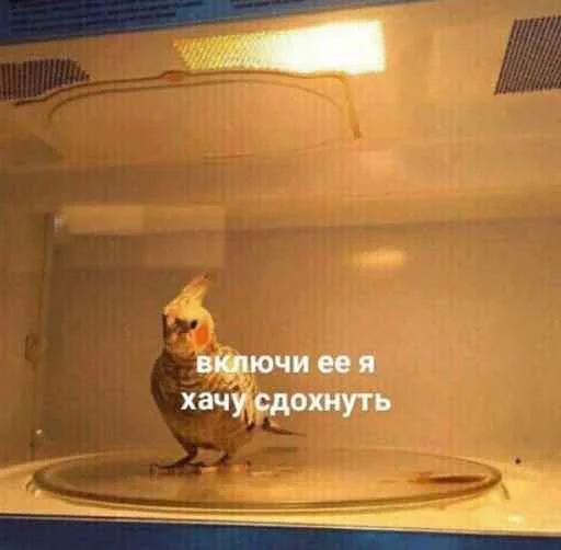 СМС комнатный стена