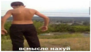 Sticker мемы с гамной - 7