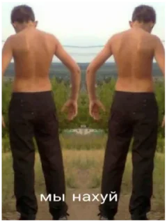 Sticker мемы с гамной - 6