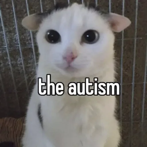 Sticker menaicore - 1