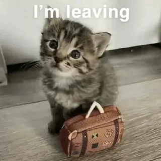 Sticker меняня кор - 5