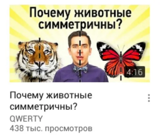 text animal butterfly