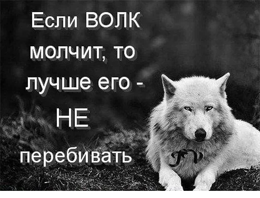 животное млекопитающее СМС