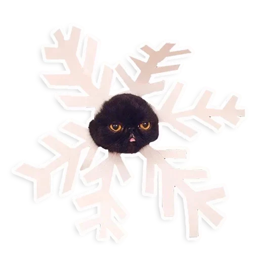 колесо искусство