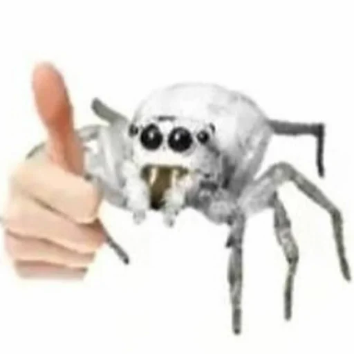 Sticker Мужской цветочный сад - 9