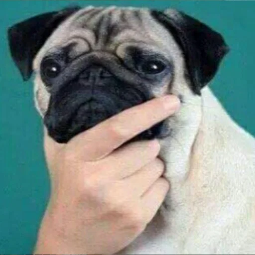 Sticker Мужской цветочный сад - 1