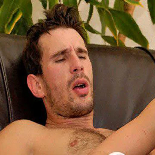 Человек человеческое лицо комнатный