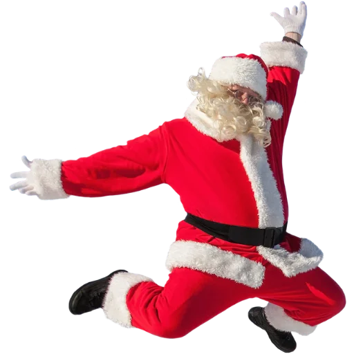 christmas santa claus mammal