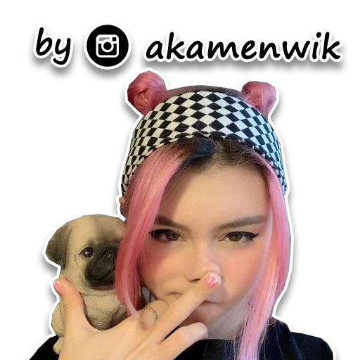 fashion accessory dog human face