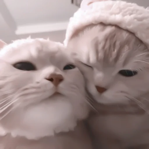 Стикер ♡︎; 𝘭𝘶𝘷 𝘶!! @helpjennrose - 11