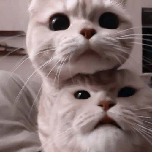 Стикер ♡︎; 𝘭𝘶𝘷 𝘶!! @helpjennrose - 10