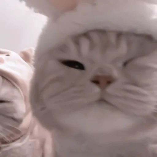 Стикер ♡︎; 𝘭𝘶𝘷 𝘶!! @helpjennrose - 8