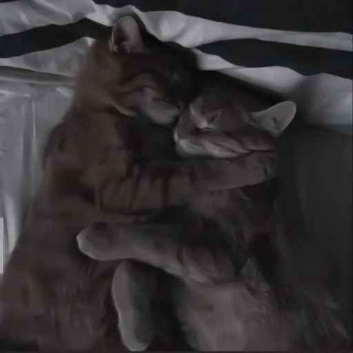 Стикер ♡︎; 𝘭𝘶𝘷 𝘶!! @helpjennrose - 6