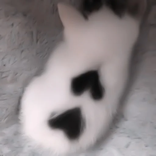 Стикер ♡︎; 𝘭𝘶𝘷 𝘶!! @helpjennrose - 3