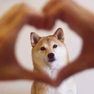 Стикер churka - 0