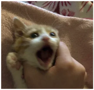 Sticker ☹︎ @savedrandom ☺︎ - 2