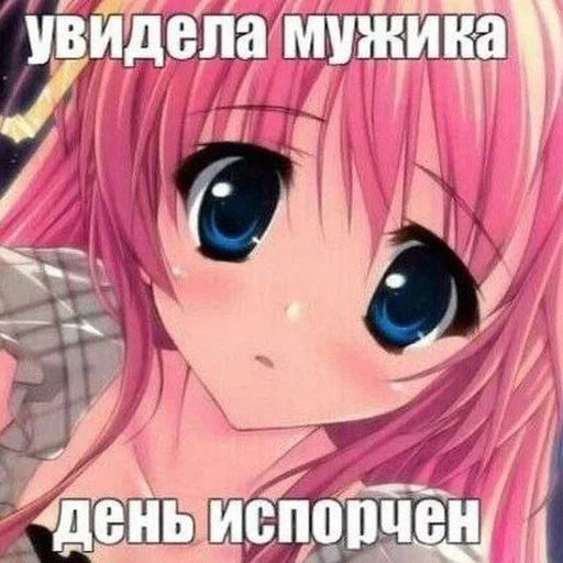 Стикер meownyashka - 1