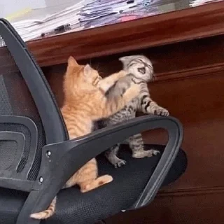 Стикер meow - 8